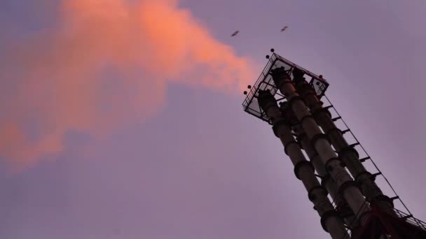 Dymiące kominy fabryki — Wideo stockowe