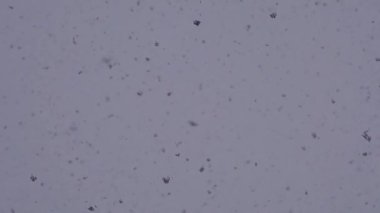 Kar taneleri beyaz gün gökyüzü arka plan üzerinde dans ediyor. Kış zamanı blizzard. Rüzgar yönünü değiştirme