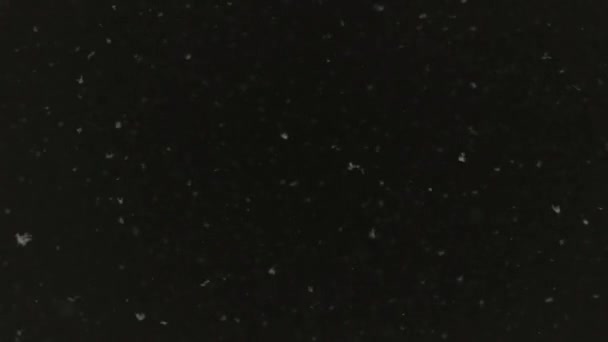 黒い夜空の背景に対して雪が踊っています。冬時間の吹雪。風の方向を変更します。 — ストック動画