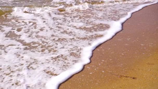 Delikatna fala morza na piaszczystej plaży — Wideo stockowe