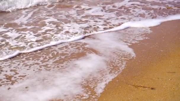 Morbida onda del mare sulla spiaggia di sabbia — Video Stock