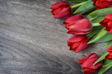 metin alanı olan ahşap arka plan üzerinde kırmızı lale