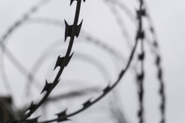 karanlık çit dikenli tel. siluet fotoğraf
