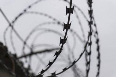 karanlık çit dikenli tel. siluet fotoğraf