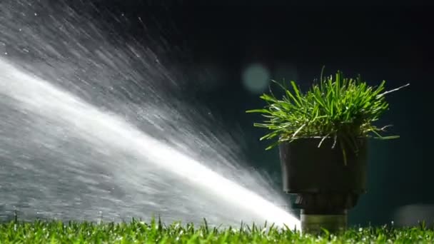 Système d'irrigation de terrain de football ou de football de gazon arrosage automatique. Avec son original . — Video