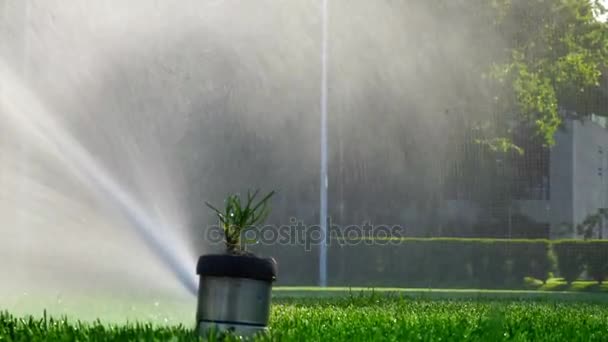 Bewässerungssystem für Fußball- oder Fußballplätze mit automatischer Rasenbewässerung. mit Originalton. — Stockvideo