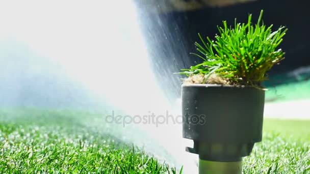 Fotboll eller fotboll fältet bevattningssystem av automatisk vattning gräs. Med ursprungliga ljud. — Stockvideo