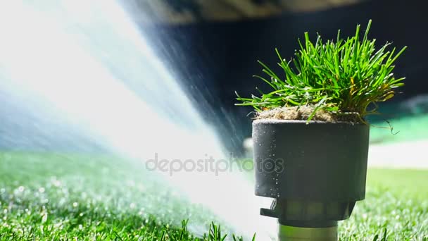 Fotboll eller fotboll fältet bevattningssystem av automatisk vattning gräs. Med ursprungliga ljud. — Stockvideo