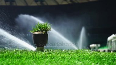 Futbol ya da futbol alan sulama sistemi otomatik sulama çim. Orijinal ses ile.