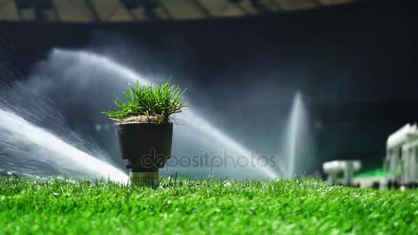 Voetbal of de voetbal veld irrigatiesysteem van automatische drenken gras. Met origineel geluid. — Stockvideo