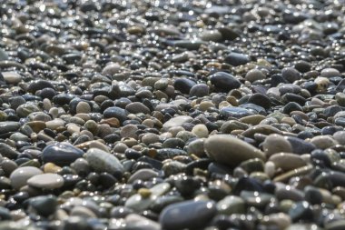 Bir Peebles sahilde yumuşak odaklı bulanık resim