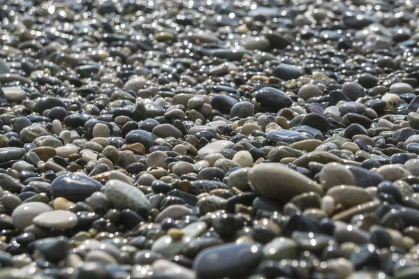 Bir Peebles sahilde yumuşak odaklı bulanık resim