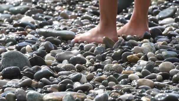 Mujer piernas en la playa peeble — Vídeo de stock