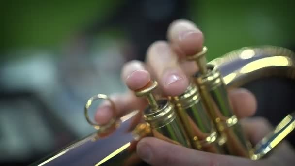 Detalj av spelare fingrarna på trumpet — Stockvideo