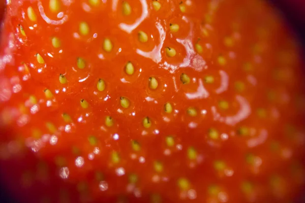 Detalhe de close-up de um morango vermelho fresco — Fotografia de Stock
