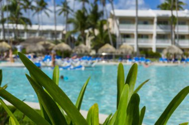 Plaj sandalyeleri tropikal otel Resort yüzme havuzunda. Zaman havuzda dinlendirici