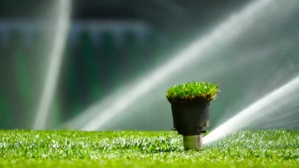 Fotbal nebo fotbal pole zavlažovací systém automatického zavlažování trávy. — Stock video