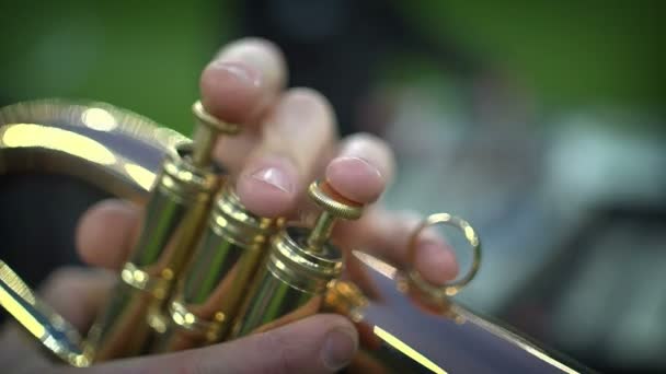 Close-up van de vingers van een muzikant die trompet speelt — Stockvideo