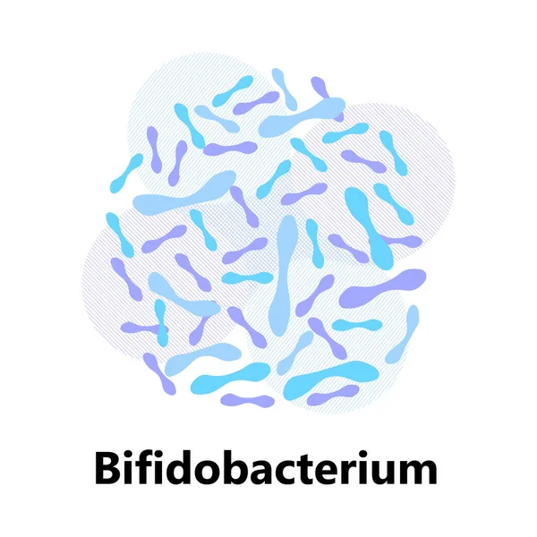 Vector Bacterias Probióticas Lactobacillus Logotipo Bulgaricus Con Texto Muestran Símbolos — Vector de stock