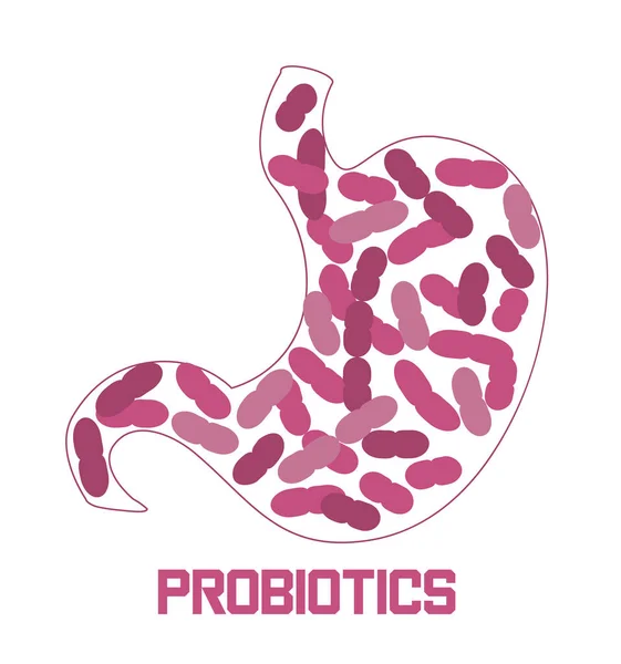 Magen får probiotiska bakterier, laktobaciller. Hälso-och sjukvård logotyp, immunitet stöd koncept vektor för banner, affisch, flygblad, webbplats. Symbol för nyttiggjord mjölk — Stock vektor