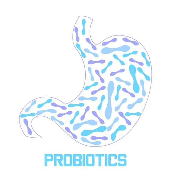 Stomach is getting probiotic bacteria, lactobacillus. Healthcare logo, immunity support concept vector for banner, poster, flyer, website. Symbol of useful milk — Stock Vector