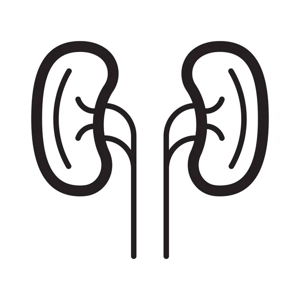 Kidneys icon vector in outline simple style. Sign of pyelonephritis for medical website, app. Kidneys, cystitis symbols are shown. Nephropathy, renal failure, diseases illustration. — Stock Illustration Kidneys Icon Vector Outline Simple Style Sign Pyelonephritis Medical Website Vector Graphics