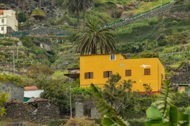 Vadinin dik yamaçlarındaki kır evleri çalı ağaçları ve palmiyelerle kaplıydı. La Gomera Kanarya Adaları İspanya 'nın kuzeydoğusundaki La Hermigua' nın doğal simgesi.