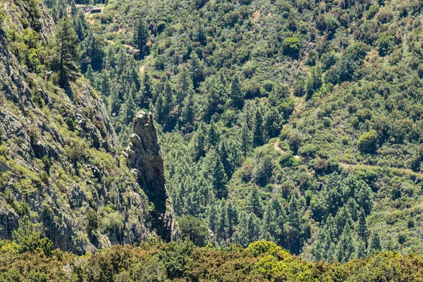 Los roques 의 공중 풍경 - La gomera 에 있는 garajonay 국립 공원 근처의 컬트 장소. 오래 된 화산들. 가파른 푸른 산비탈에 는 유칼립투스와 헤더의 덤불이 펼쳐져 있습니다. 카나리아. 스페인 — 스톡 사진