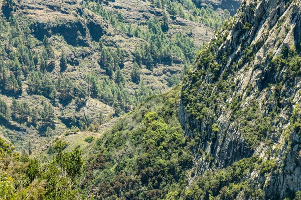 Вид з повітря на Лос-Рокес - культове місце поблизу національного парку Гарайоне в Ла-Гомері. Старі вулкани. Квитки реліктових лаврів і вересу на крутих зелених схилах. Канарки. Іспанія — стокове фото