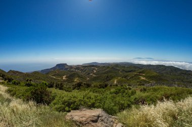 Garajonay Milli Parkı'nın dağ sırasının yamaçlarında orman. Dar dolambaçlı yollar boyunca Dev Laurels ve Tree Heather. Yürüyüş için cennet. Seyahat kartpostalı. La Gomera, İspanya.