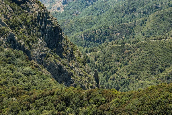 Veduta aerea di Los Roques - luogo di culto vicino al parco nazionale Garajonay a La Gomera. Vecchi vulcani. Spessore di alloro reliquia ed erica su ripidi pendii verdi. Canarino. Spagna — Foto Stock