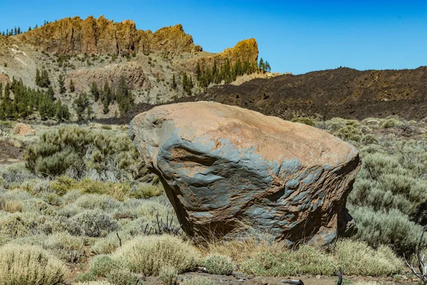Dev bazalt kaya parçası. Arka planda güneşin sıcak ışınlarıyla aydınlatılan genç çam ağaçları. Dağlar ve Teide volkanı yakınlarında çam ağacı ormanı. Teide Ulusal Parkı, Kanarya Adaları. 2000 metre irtifa