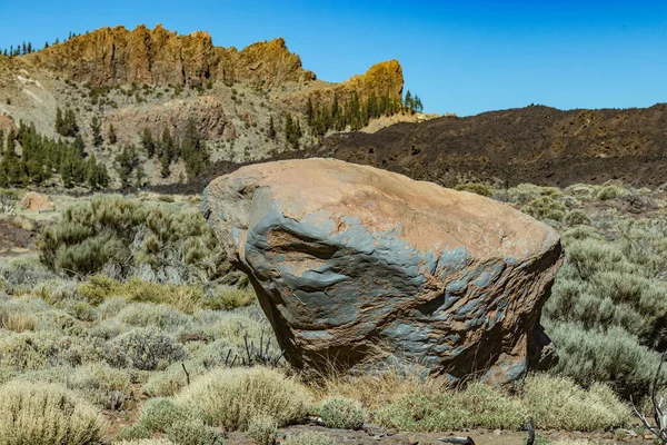 Ogromny bazaltowy fragment skały. Młode sosny oświetlone ciepłymi promieniami słońca w tle. Góry i las sosnowy w pobliżu wulkanu Teide. Park Narodowy Teide, Wyspy Kanaryjskie. Wysokość 2000 m — Zdjęcie stockowe