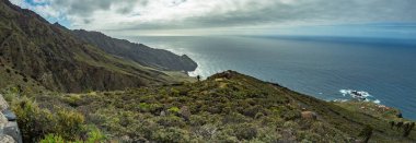 Arguamul köyü yakınlarındaki La Gomera adasının kuzeyinde okyanusta keskin uçurumları olan kayalık sahil şeridi. Dar kıvrımlı Serpatine boyunca gidebileceğiniz yer. Kanarya Adaları, İspanya