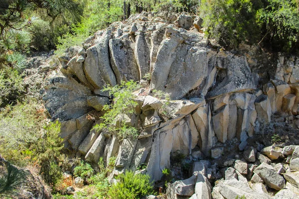 Каменный цветок - La Piedra de la Rosa- около национального парка Тейде, Тенерифе, Канарские острова, Испания — стоковое фото