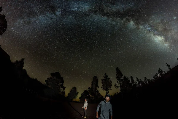 Jongeman observeert sterrenhemel. Bergen, omgeven door dennenbos op de achtergrond nachtlandschap met kleurrijke Melkweg Galaxy, sterren, planeten en vallende ster — Stockfoto
