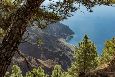 Mirador de Las Playas El Hierro adasındaki çam ağacı ormanında yer alıyor. Bulutların üstündeki noktadan muhteşem görüntüler. Kanarya Adaları, İspanya