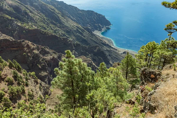 Mirador Las Playas Liegt Einem Kiefernwald Auf Der Insel Hierro — Stockfoto