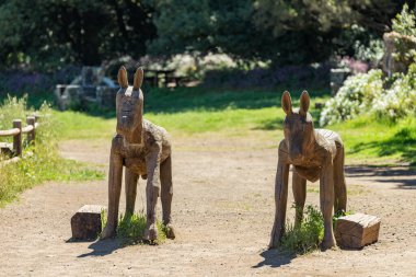 Ulusal Park Garajonay 'ın merkezinde çocuk parkı. Bulanık bir arka planda büyük bir ızgara ve orman. Laguna Grande, La Gomera.