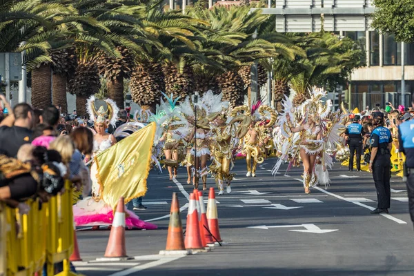 Santa Cruz Tenerife Spain February 2020 Coso Parade Avenida Anaga — Stockfoto