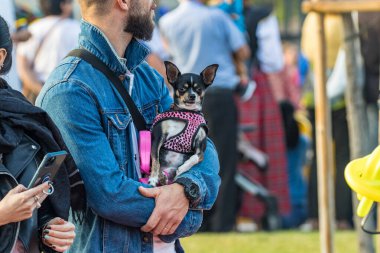 SANTA CRUZ DE TENERIFE, SPAIN - FEBRUARY 25, 2020: Around the Coso parade - along the Avenida de Anaga, official end of Carnival. Amazing warm evening, joyful people in carnival costumes have fun.