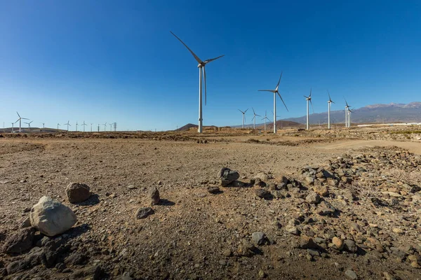 Wind power stations. A row of turbines near the seashore. Wind farm eco field. Eolic park with blue sky in background. Green, ecological and power energy generation concept.