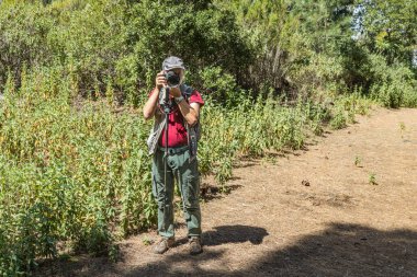 Sırt çantalı gezgin, yürüyüş sopaları atış yapmak için durdu. Volkan Arenas Negras yakınlarında çam ağacı ormanı. Tenerife, Kanarya Adaları, İspanya.