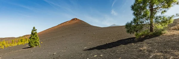 Super Ampia Vista Panoramica Del Vulcano Arenas Negras Campi Lava — Foto Stock