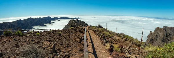 Fish Eye Panorama National Park Caldera Taburiente Volcanic Crater Seen — Stock Photo, Image