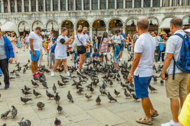 St. Mark Meydanı, VENICE, İtalya - 02 Ağustos 2019: sıcak güneşli bir yaz günü. Çok sayıda turist şehir güvercinleriyle fotoğraflanıyor. Çocuklar oyun oynar ve kuşlarla oynamaya çalışır..