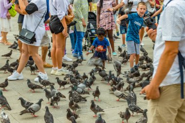 St. Mark Meydanı, VENICE, İtalya - 02 Ağustos 2019: sıcak güneşli bir yaz günü. Çok sayıda turist şehir güvercinleriyle fotoğraflanıyor. Çocuklar oyun oynar ve kuşlarla oynamaya çalışır..