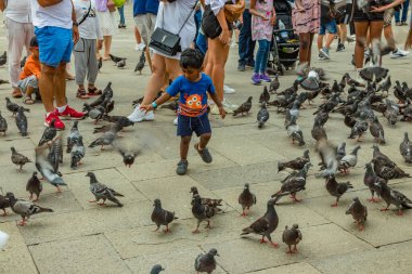 St. Mark Meydanı, VENICE, İtalya - 02 Ağustos 2019: sıcak güneşli bir yaz günü. Çok sayıda turist şehir güvercinleriyle fotoğraflanıyor. Çocuklar oyun oynar ve kuşlarla oynamaya çalışır..