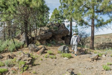Sırtında sırt çantası olan şapkalı genç bir adam Teide Ulusal Parkı 'nda bir rota boyunca seyahat ediyor. Dağ yolunda yürüyüş. Etrafı lava kayaları ve bitki örtüsüyle çevrili. Tenerife.