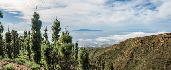 Super wide angle panoramic view of the west side of Tenerife Island. Hiking by the mountain trail surrounded by endemic vegetation and fields of lava rocks. Canary Islands, Spain.